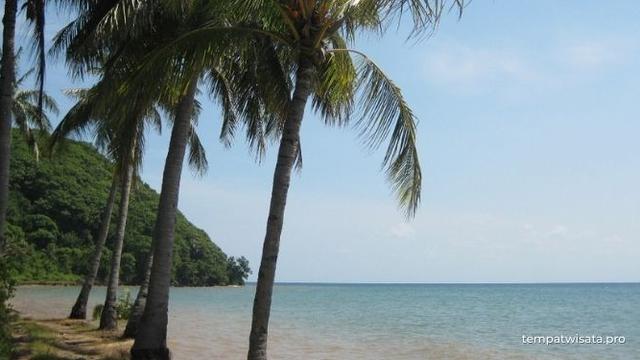 Pantai Mayangkara Gresik. (Liputan6.com/ ist)