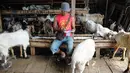 Seorang pedagang mencatat penjualan kambing di Pasar Kambing Tanah Abang, Jakarta, Minggu (11/9). Satu hari jelang Idul Adha 1437 H, pedagang di pasar itu bisa menjual 70-90 ekor per hari dari harga Rp 2 juta hingga 5 juta. (Liputan6.com/Faizal Fanani)