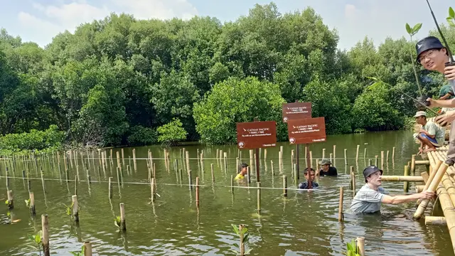 Saatnya Beralih ke Regenerative Tourism, Berwisata Sambil Healing dan Mengasah Kepedulian Lingkungan