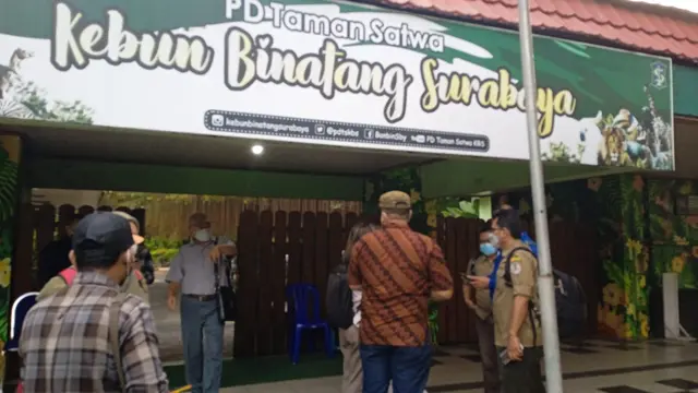 Kebun Binatang Surabaya. (Dian Kurniawan/Liputan6.com)