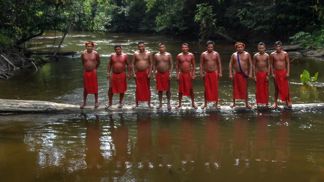 Ditengah Tekanan Pertambangan, Suku Waiapi Bertahan di Dalam Hutan Amazon