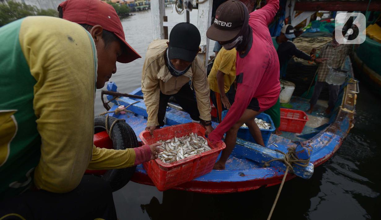 Nelayan tradisional menurunkan hasil tangkapan ikan di Pelabuhan Muara Angke, Jakarta, Sabtu (19/2/2022). Nelayan mengatakan hasil tangkapan ikan mulai membaik seiring pergantian musim dan angin barat. (merdeka.com/Imam Buhori)