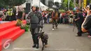 Anggota Polisi berjalan sambil membawa anjing pelacak saat parade busana POLRI di car free day di Bunderan HI, Jakarta (5/2). Kegiatan ini menarik perhatiaan para warga yang sedang menikmati car free day. (Liputan6.com/Angga Yuniar)
