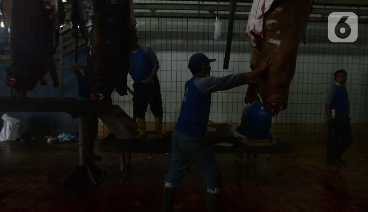 Aktivitas petugas penyembelihan hewan kurban di Rumah Pemotongan Hewan (RPH) Dharma Jaya, Jakarta, Rabu (21/7/2021). Pemotongan hewan qurban saat pandemi sekarang  ini mengalami kenaikan sekitar 30 persen penerimaan hewan kurban pada Idul Adha 1442 H. (merdeka.com/Imam Buhori)