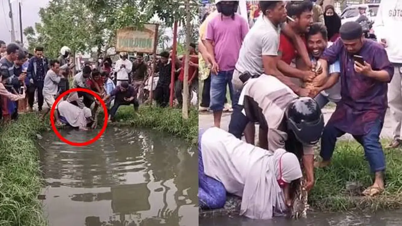 Viral Video Aksi Berani Emak-emak Tangkap Ular Sanca Ini Bikin Geleng Kepala