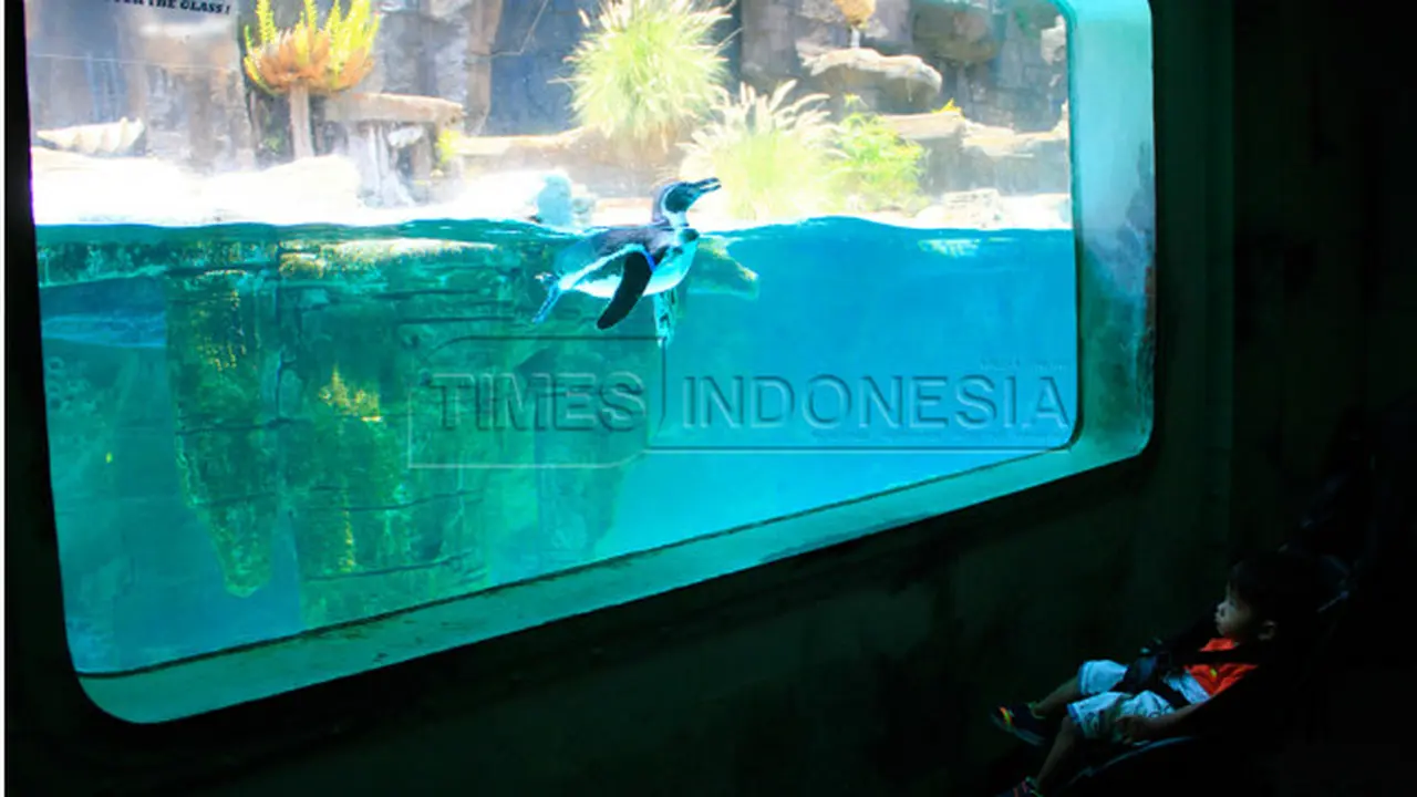 Taman Safari Prigen