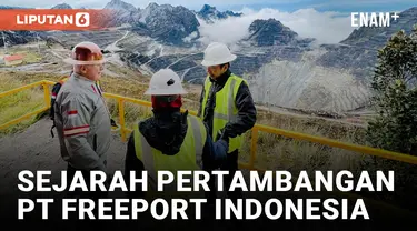 Freeport Indonesia