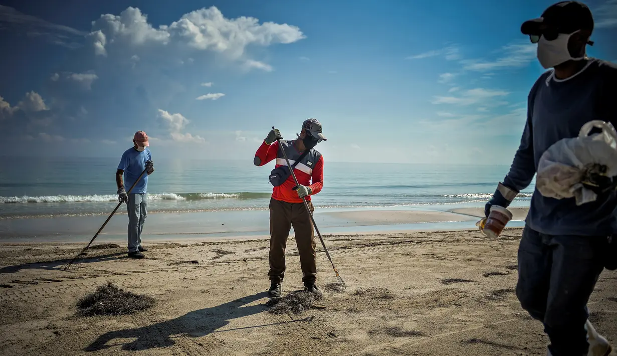 Para pekerja dengan mengenakan masker membersihkan pantai di Havana pada Senin (15/6/2020). Kuba akan menguji semua pelancong untuk Covid-19 dan membatasi kontak mereka dengan penduduk setempat ketika perbatasan dibuka kembali untuk turis asing. (Yamil LAGE / AFP)