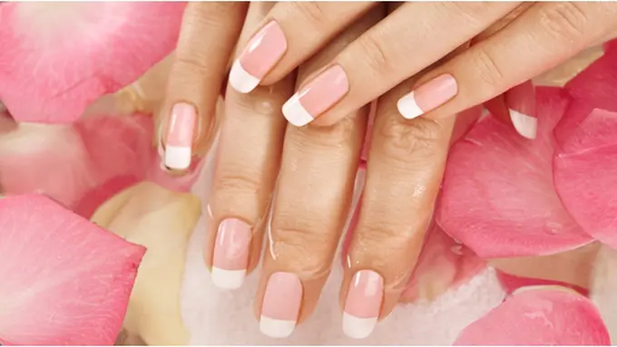 Courtesy ShutterStock.com