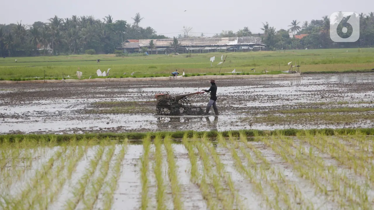 Sektor Pertanian Bisa Bertahan di Tengah Pandemi.