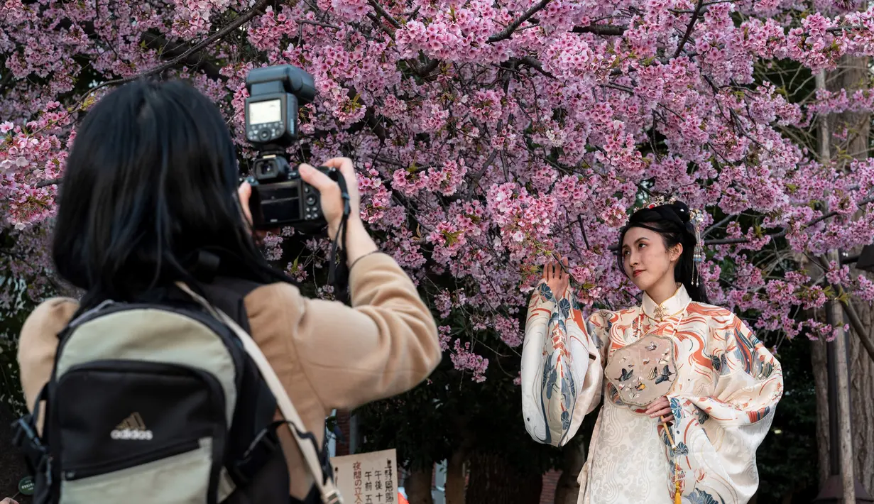 Dalam beberapa tahun terakhir, para ahli meteorologi negara ini telah menghubungkan mekarnya bunga sakura yang lebih awal dengan perubahan iklim, dan suhu udara di Tokyo telah mencapai tingkat yang tidak biasa dalam beberapa hari terakhir. (Photo by Richard A. Brooks / AFP)