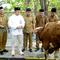 GM of CSR SIG Edy Saraya bersama penerima hewan kurban dari Kelurahan Gending, Singosari, Sidomoro, Segoromadu, Sidorukun, dan Kramatinggil, Kabupaten Gresik, Jawa Timur. (Antara)