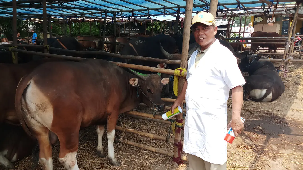 Petugas Suku Dinas Ketahanan Pangan Kelautan dan Pertanian (KPKP) Jakarta Selatan memeriksa sejumlah hewan kurban