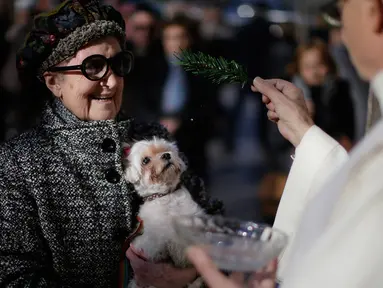 Seorang pendeta memberkati anjing saat upacara Saint Anthony di Madrid, Spanyol, Selasa (17/1). Saint Anthony adalah orang suci yang dianggap sebagai pelindung hewan di Gereja Katolik. (AP Photo / Daniel Ochoa de Olza)