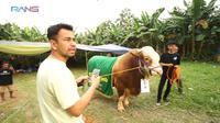 Raffi Ahmad menyiapkan hewan kurban tahun ini. (Foto: YouTube/Rans Entertainment)