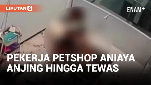 VIDEO: Viral! Pekerja Petshop Aniaya Anjing Hingga Tewas