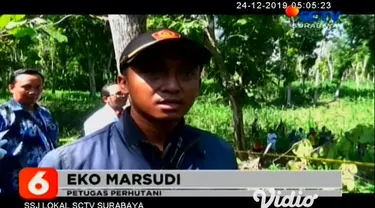 Warga Desa Banjarbanggi, Kecamatan Pitu, Kabupaten Ngawi, Jawa Timur, digegerkan dengan temuan jenazah perempuan tanpa busana di sebuah kebun, Senin (23/12/2019).