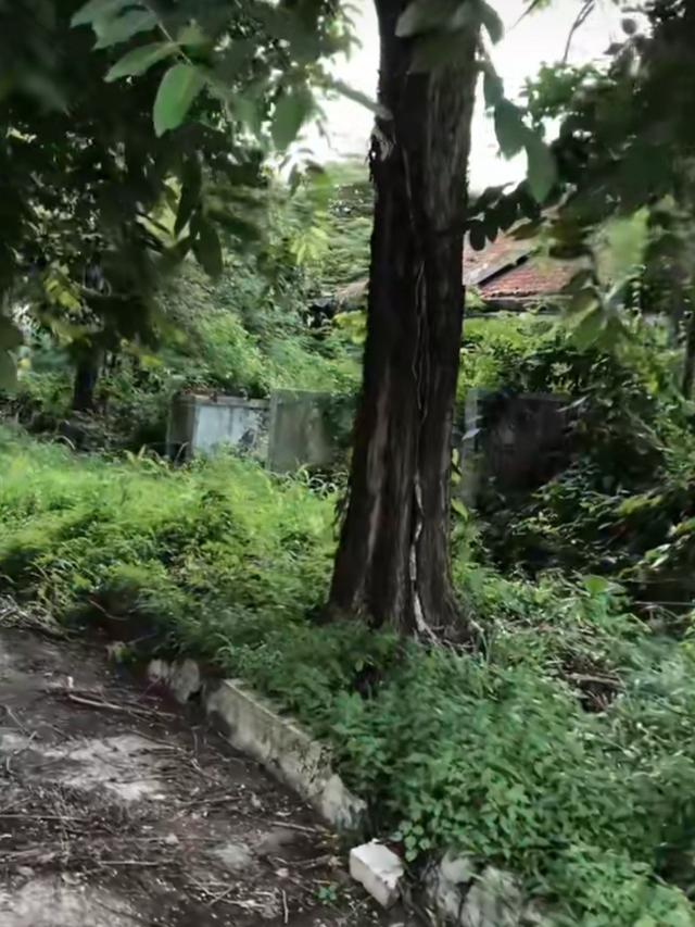 Perumahan Dinas Krakatau Steel Terbengkalai