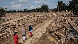 Aceh Tamiang menjadi salah satu daerah yang paling terdampak bencana banjir bandang Sumatera yang terjadi pada (26/11/2025) lalu. Tampak dalam foto, para wanita melintasi jalan yang telah dibersihkan dari pohon-pohon tumbang pasca banjir bandang di Aceh Tamiang, pada Rabu 10 Desember 2025. (Aditya Aji/AFP)