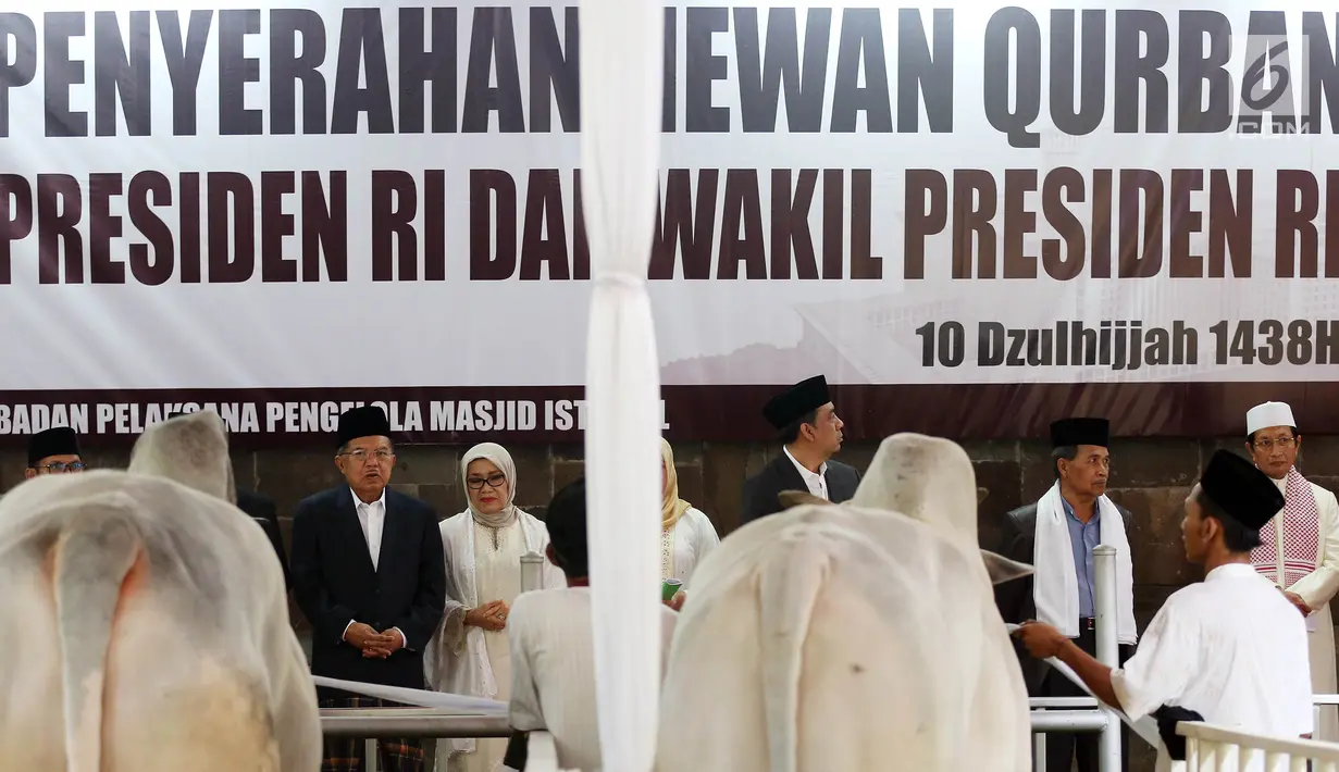 Wakil Presiden Jusuf Kalla bersama Istri, Mufidah Kalla saat penyerahan Hewan Kurban sapi kepada pengurus Masjid Istiqal, Jakarta, Jumat (1/9). (Liputan6.com/JohanTallo)