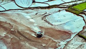 Sementara, 23 orang lainnya masih dinyatakan hilang akibat bencana banjir yang terjadi pada Selasa 25 November 2025. Tampak dalam foto, area persawahan yang rusak akibat banjir bandang terlihat di Kabupaten Bener Meriah, Provinsi Aceh, pada Kamis 4 Desember 2025. (CHAIDEER MAHYUDDIN/AFP)
