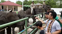 Ketua DPP PKB, Muhaimin Iskandar memberikan uang ke seekor gajah pada pembukaan Festival Way Kambas 2017, di Provinsi Lampung, Sabtu (11/11). Kegiatan ini digelar untuk mempromosikan potensi pariwisata setempat. (Liputan6.com/Pool/Agus)