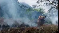 Pasutri pembakar hutan di Lumajang mengakui jika hutan tersebut merupakan kawasan konservasi yang dilindungi. (Liputan6.com/Dian Kurniawan)