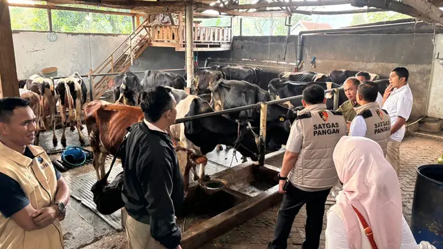 Satgas Pangan Polri Turun Gunung, Cek Industri Pengolahan Susu Segar di Jatim dan Jateng