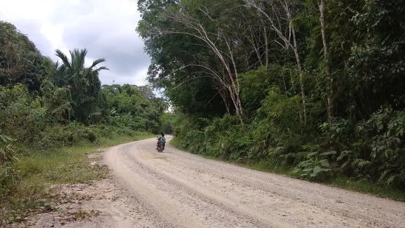 Kementerian PUPR membangun jalan akses Tering-Long Bagun sepanjang sekitar 145 km yang menghubungkan Kabupaten Kutai Barat dan Kabupaten Mahakam Ulu. (Maul/Liputan6.com)