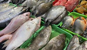 Pasokan Tersendat, Harga Ikan Segar Meroket di Sejumlah Pasar Tradisional.