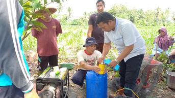 Manfaat Agens Hayati Ramah Lingkungan Dirasakan Para Petani di Bengkulu