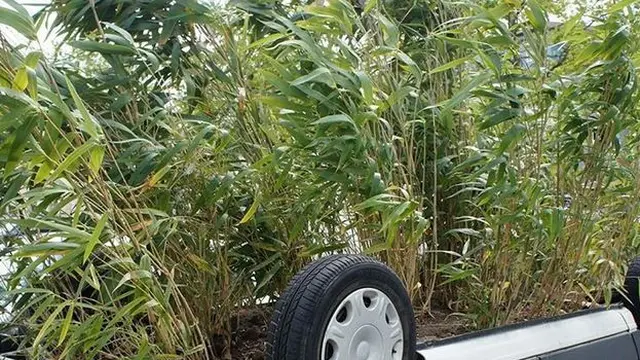 Ada-ada Saja, 5 Kreasi Mobil yang Beralih Fungsi Ini Bikin Ngakak Warganet