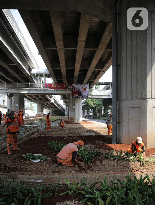 Sejumlah petugas PPSU menanam pohon di kolong Tol Becakayu, Jakarta, Kamis (12/1/2023). Pemerintah Provinsi DKI Jakarta melakukan penataan lahan melalui program penghijauan sepanjang lima kilometer di tepi saluran Kalimalang  kolong tol Bekasi Cawang Kampung Melayu (Becakayu), Jakarta Timur untuk menjaga mutu air baku Jakarta. (Liputan6.com/Faizal Fanani)