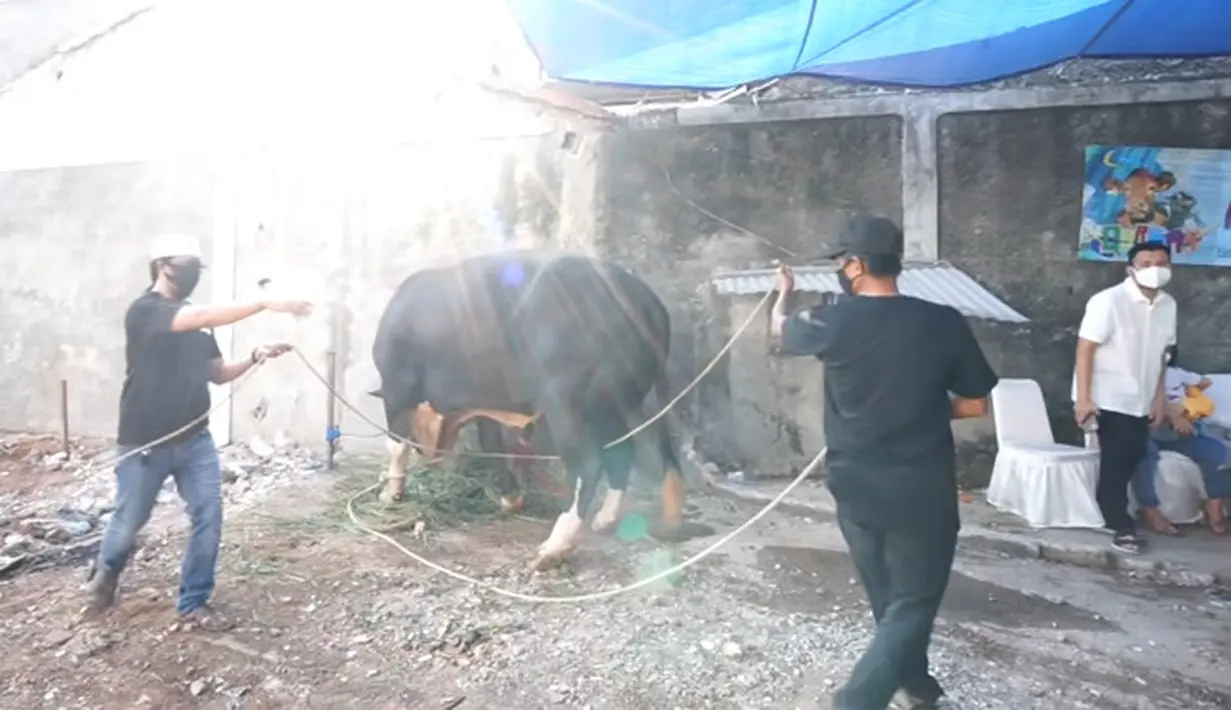 Raffi Ahmad (Youtube/Rans Entertainment)