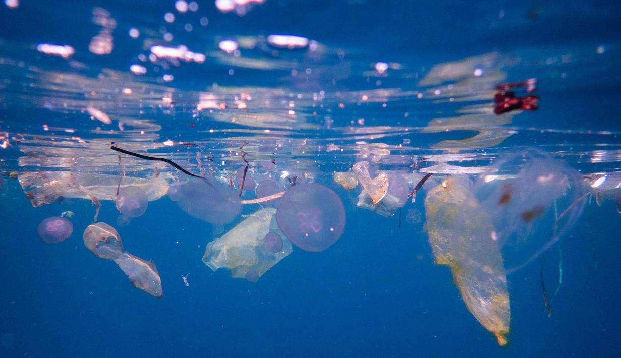 Para aktivis lingkungan dan pesohor terus menyuarakan kekhawatiran atas kerusakan alam di kawasan yang berjuluk Surga Kecil yang Jatuh ke Bumi ini. Tampak dalam foto, ceceran sampah plastik mengapung bersama ubur-ubur di lokasi penyelaman Blue Magic di Raja Ampat, Papua Barat Daya, Minggu, 8 Maret 2026. (AP Photo/Claudia Rosel)