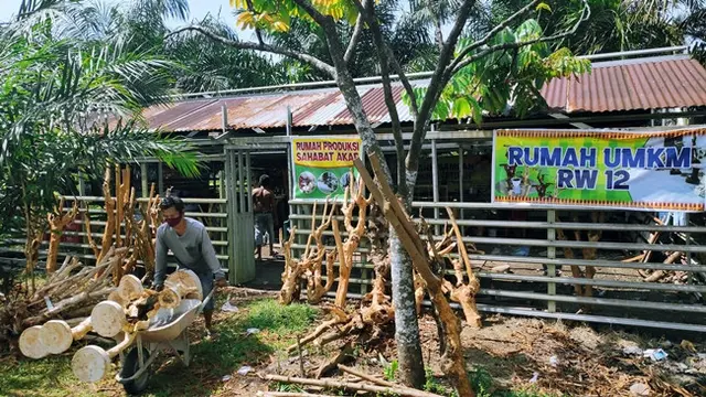 Sofian, pekerja di Rumah Produksi Sahabat Akar mengangkut rak tanaman hias setengah jadi untuk dipernis dan cat warna.