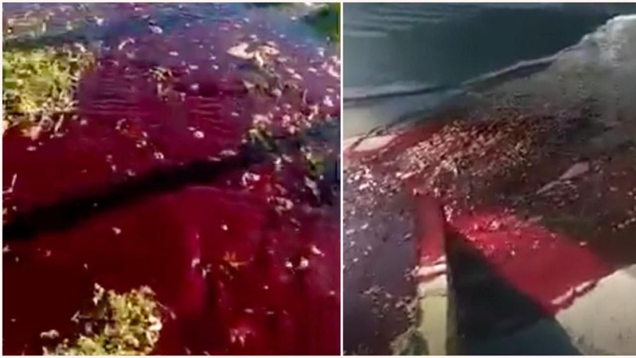 Air Jadi darah di turki