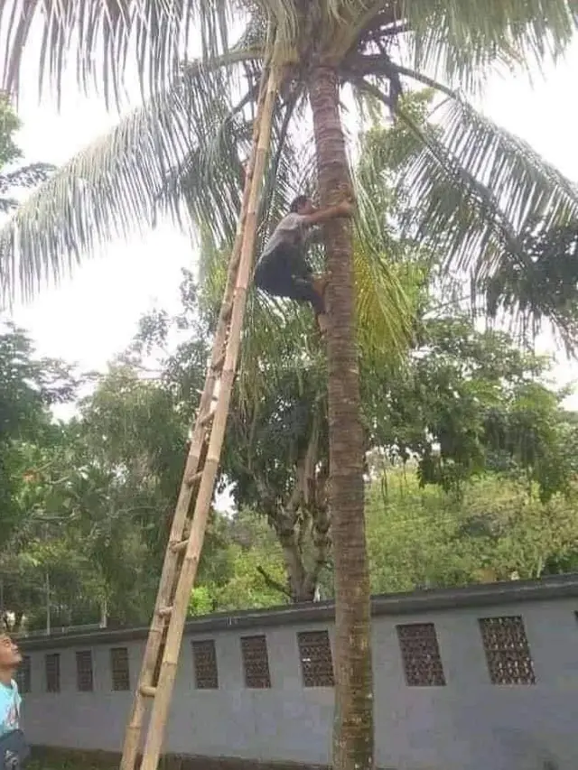 6 Potret Nyeleneh Orang Pakai Tangga Ini Malah Bikin Heran