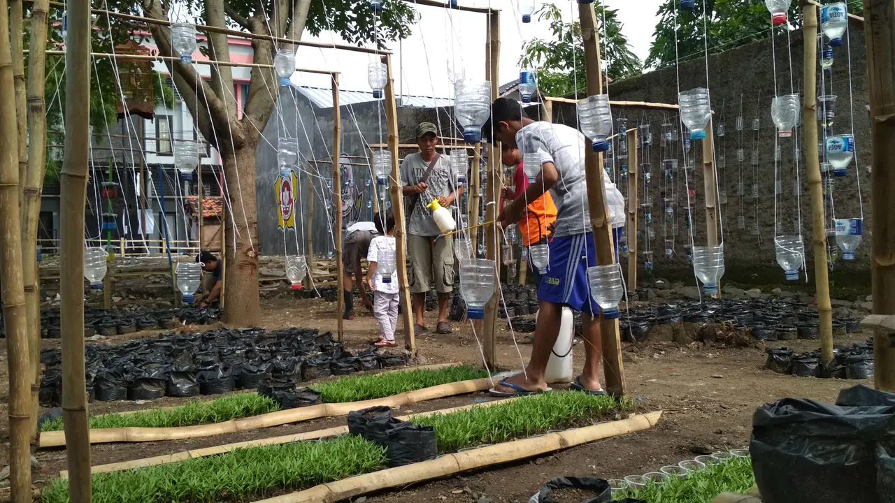 Cerita Karang Taruna Cirebon Mengubah Lahan Seram Jadi Rumah Pangan