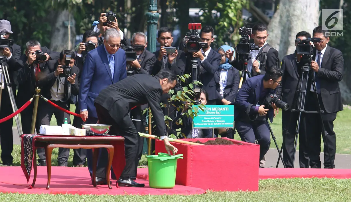 Presiden Joko Widodo (Jokowi) bersama PM Malaysia, Mahathir Mohamad menyiram pohon yang baru mereka tanam di halaman belakang Istana Bogor, Jumat (29/6). Penanaman pohon Meranti itu dalam rangkaian penyambutan PM Mahathir. (Liputan6.com/Angga Yuniar)