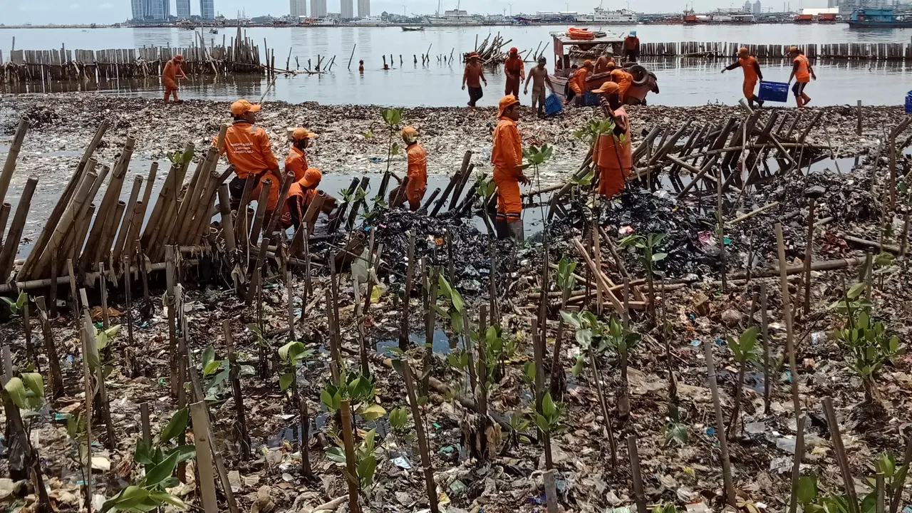 Petugas membersihkan sampah di Teluk Jakarta