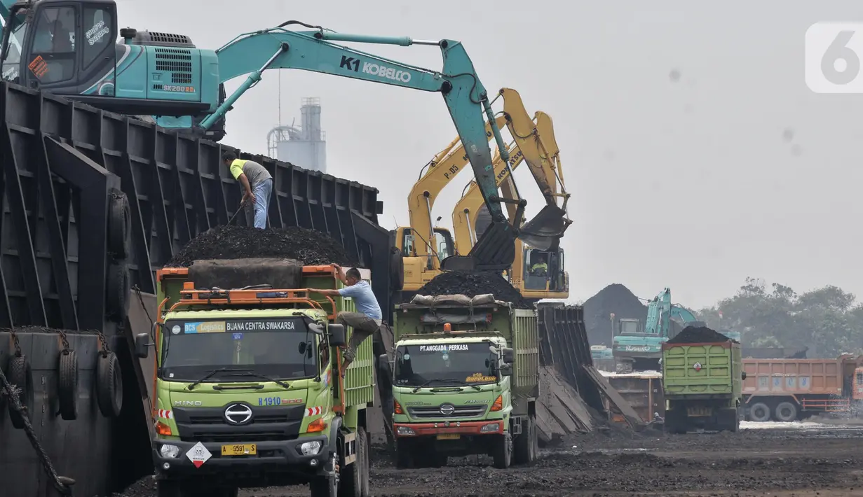 Aktivitas pekerja menggunakan alat berat saat menurunkan muatan batu bara di Pelabuhan KCN Marunda, Jakarta, Minggu (27/10/2019). Berdasarkan data ICE Newcastle, ekspor batu bara Indonesia menurun drastis mencapai 5,33 juta ton dibandingkan pekan sebelumnya 7,989 ton. (merdeka.com/Iqbal S Nugroho)