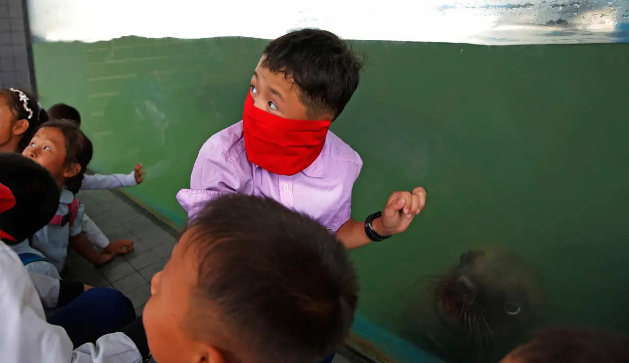 Anak-anak sekolah Korea Utara menyaksikan anjing laut berenang di Kebun Binatang di Pyongyang, Korea Utara (15/9). (AP Photo/Kin Cheung)