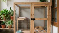Cara Membuat Kandang Kucing dari Kardus, Kayu, dan Pipa PVC