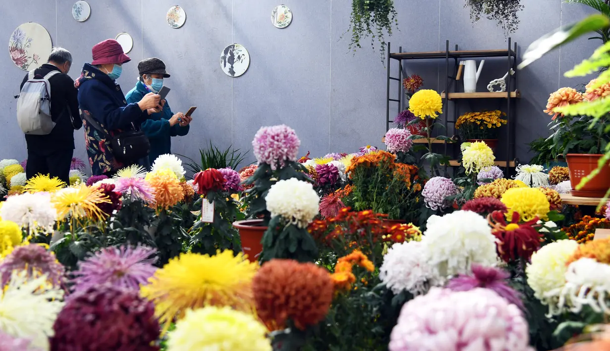 Orang-orang mengabadikan foto bunga krisan di sebuah pameran di Beijing World Flower Wonderland Park di Beijing, ibu kota China, pada 3 November 2020. (Xinhua/Ren Chao)