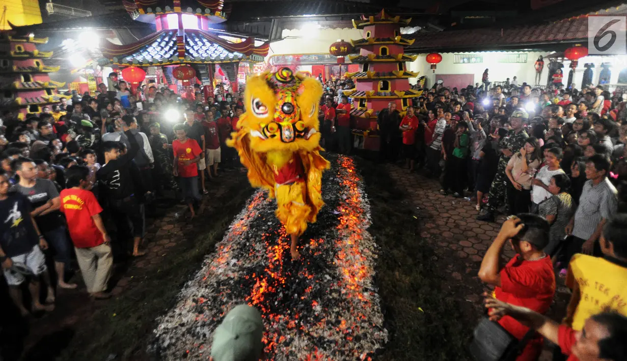Sebuah barongsai melakukan atraksi Tahwe atau menginjak bara api di Hok Tek Bio Cibinong, Bogor, Sabtu (17/3). Tradisi injak bara tersebut dalam rangka rangkaian Sejit (ulang tahun) Kongco Ho Tek Tjeng Sin atau Dewa Bumi. (Merdeka.com/Arie Basuki)
