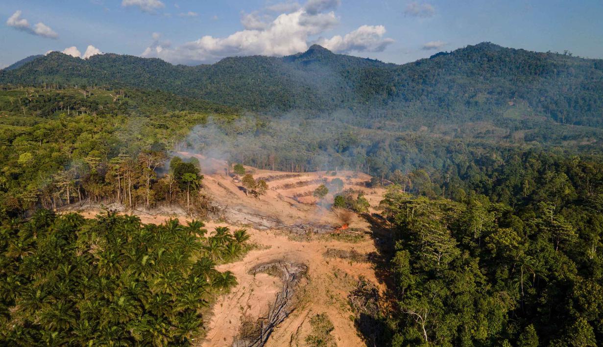 Berdasarkan hasil pemetaan pada tahun 2007, seluruh wilayah Pemerintah Provinsi Aceh sebenarnya tidak boleh lagi kehilangan tutupan hutan. Tampak dalam foto, asap mengepul selama penggundulan hutan untuk lahan tanam baru perkebunan kelapa sawit di Lamno, Provinsi Aceh, Minggu 18 Januari 2026. (CHAIDEER MAHYUDDIN/AFP)