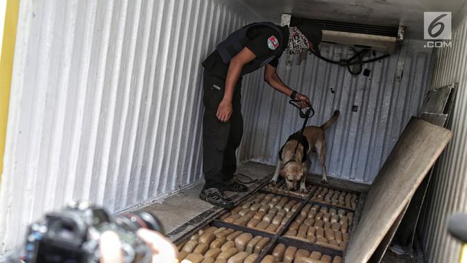 Petugas BNN dengan anjing pelacak mengendus barang bukti ganja saat konferensi pers kasus tindak pidana narkotika di Jakarta, Jumat (1/2). BNN mengungkap 3 kasus penyelundupan narkotika dari Aceh, Medan dan Bogor. (Liputan6.com/Faizal Fanani)