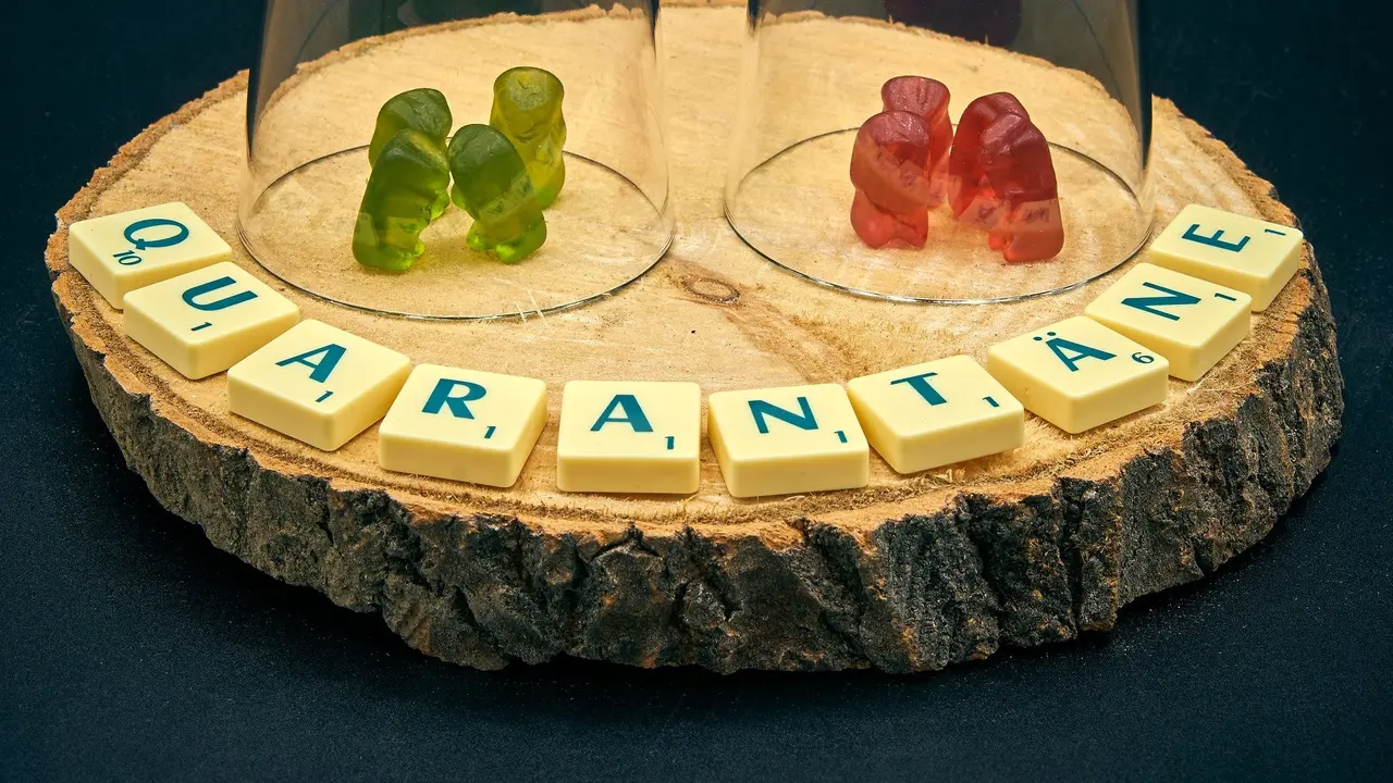 Ilustrasi karantina