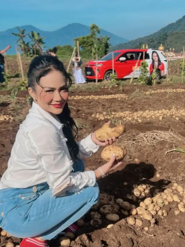 6 Momen Krisdayanti Ajak Kedua Anaknya Panen Kentang di Ladang Warga, Aksinya Banjir Pujian